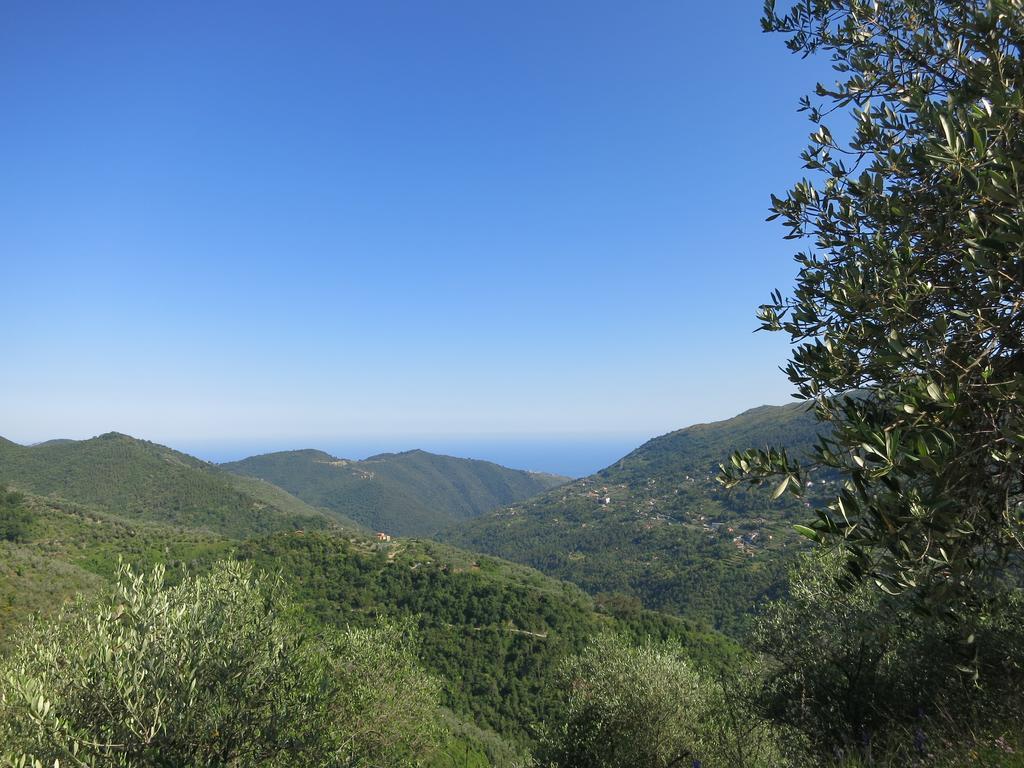 Rustic Liguria Villa Ceriana Luaran gambar