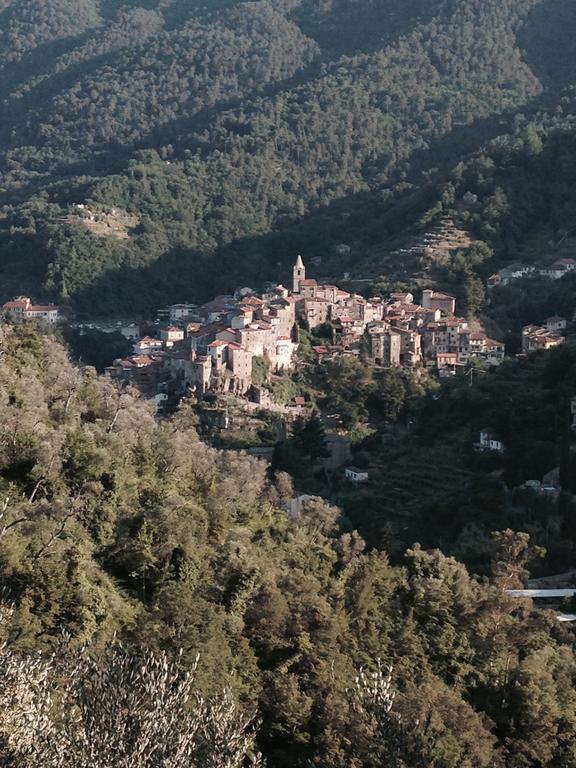 Rustic Liguria Villa Ceriana Luaran gambar
